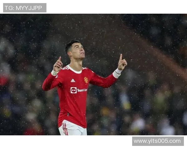 C罗球星手办足球价格揭秘及购买渠道推荐 C罗球星手办足球价格揭秘及购买渠道推荐