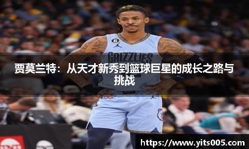 快盈VIII平台官网